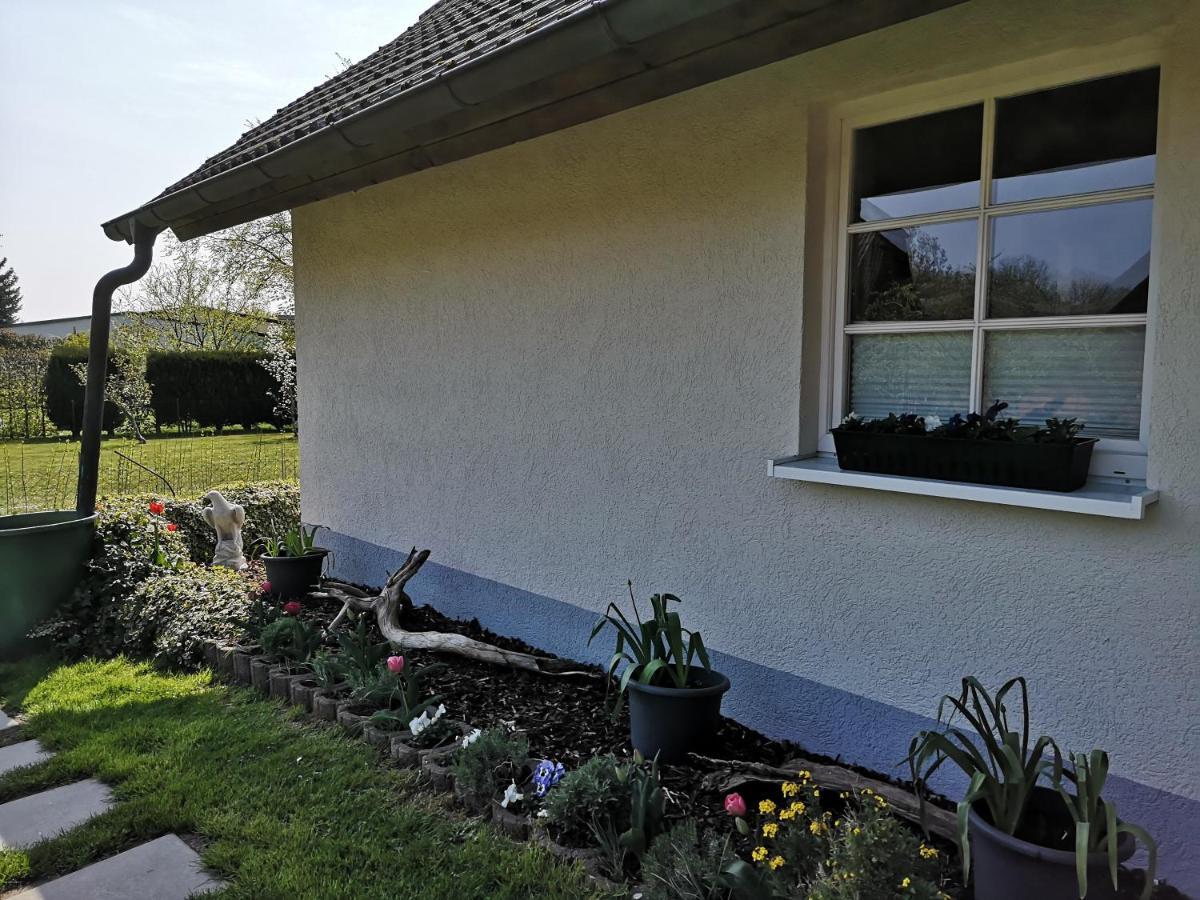 Boddenhus Auf Ruegen - Ferienwohnungen Und Pension Rappin Exterior photo