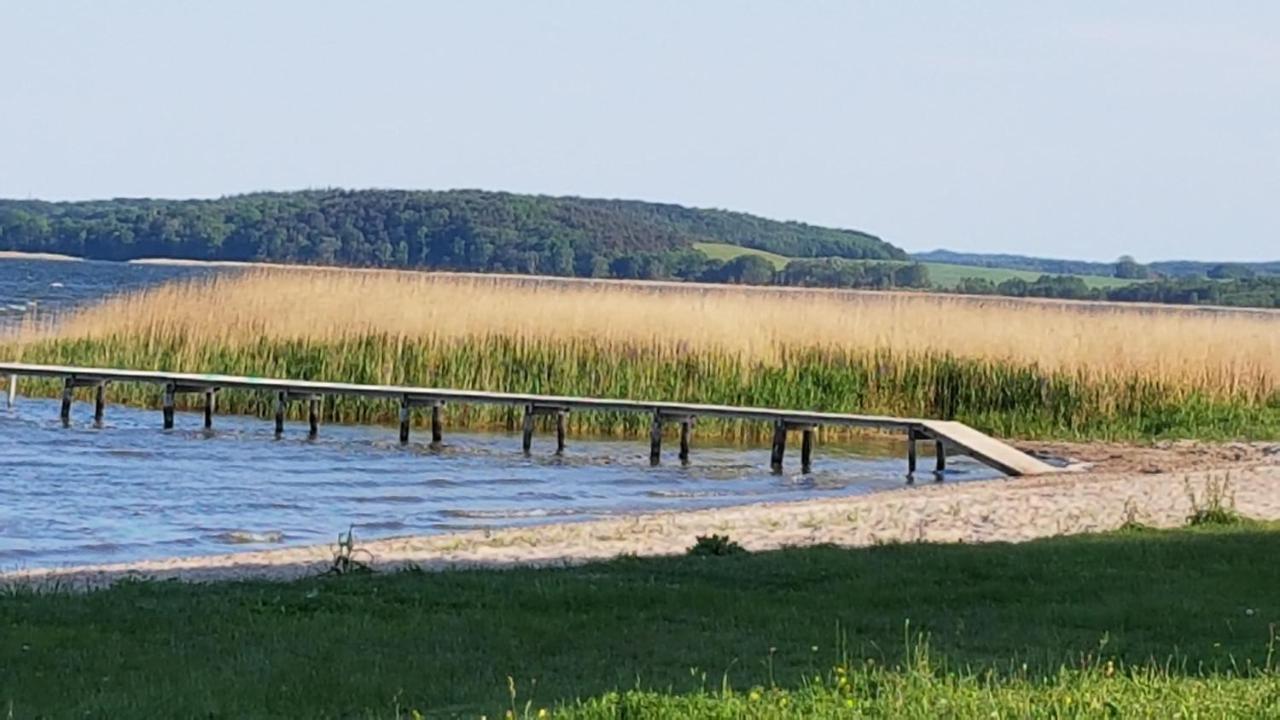 Boddenhus Auf Ruegen - Ferienwohnungen Und Pension Rappin Exterior photo